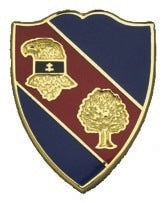 US Army 354th Regiment Unit Crest