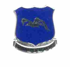 US Army 413th Regiment  Unit Crest
