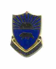 US Army 508th Military Police Battalion Unit Crest