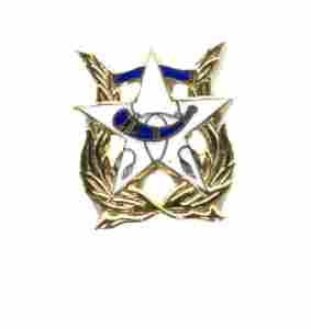 US Army Band Unit Crest