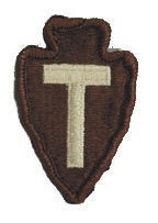 36th Infantry Division Desert Cloth Patch