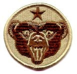 US Army Alaska desert subdued Patch