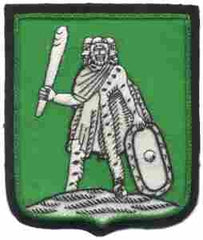 86th Armored Reconnaissance Battalion, Custom made Cloth Patch