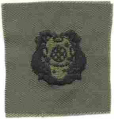 Divers 1st Class, Badge, cloth, Subdued - Saunders Military Insignia