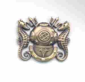 Divisioning Medical Officer USN Badge (Officer)