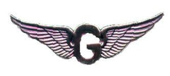Door Gunner badge or wing