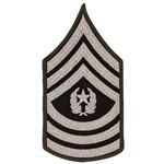 E9 Command Sergeant Major (CSM) Army Rank Insignia For The New Army Green Service Uniform