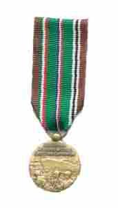 European African Middle Eastern Campaign Miniature Medal