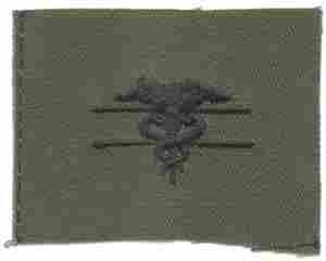 Expert Field Medic Badge, cloth, Subdued