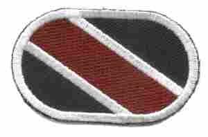 Field Epidemiological Survey Team (Airborne) Oval - Saunders Military Insignia