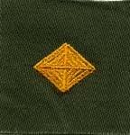Finance Badge, cloth, Olive Drab - Saunders Military Insignia