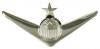 Fligh Pilot With Star, Mirror Finish - Saunders Military Insignia