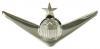 Fligh Pilot With Star, Mirror Finish - Saunders Military Insignia