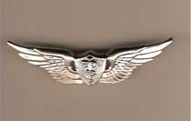 Flight Surgeon Basic Badge - Saunders Military Insignia