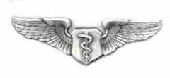 Flight Surgeon Wing, silver finish - Saunders Military Insignia