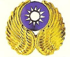 Flying Tiger Badge in Gold - Saunders Military Insignia