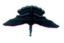 FreeFall Jump Wing Subdued Metal badge