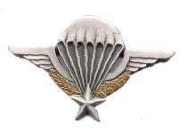 French Para Wing - Saunders Military Insignia