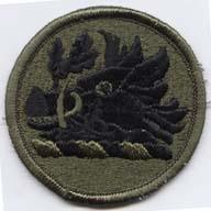 Georgia National Guard subdued patch