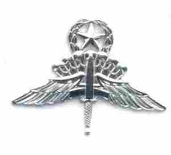 HALO Master (1995) badge - Saunders Military Insignia