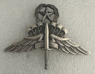 HALO Master badge in silver OX finish