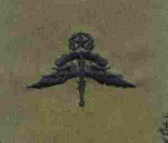 Halo Master Freefall, Badge, Cloth, Subdued - Saunders Military Insignia