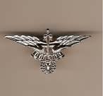 Halo Master Wing badge - Saunders Military Insignia