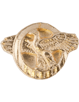 Honorable Discharge Ruptured Duck in gold metal