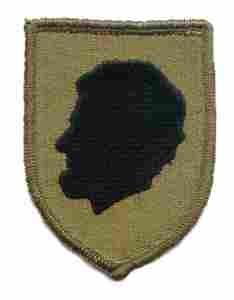 Illinois National Guard subdued patch - Saunders Military Insignia