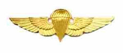 Jordanian, Basic Jump Wing - Saunders Military Insignia
