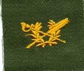 Judge Advocate Badge, cloth, Olive Drab - Saunders Military Insignia