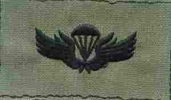 Korea para subued Foreign Jump Wing - Saunders Military Insignia