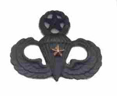 Master Parachute wing with combat star subdued metal wing - Saunders Military Insignia