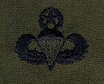 Master Parachutist Badge cloth Subdued