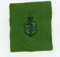 Master Sergeant Senior Badge, Cloth, subdued - Saunders Military Insignia