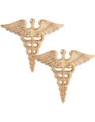 Medical Corps Army branch of service badge - Saunders Military Insignia