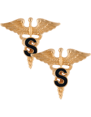 Medical Specialist Army branch of service badge