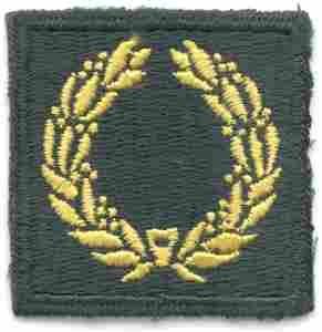 Meritorious Award, Army Green Border AG44