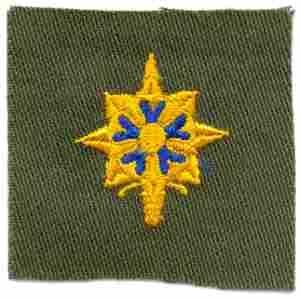 Military Intelligene Badge, cloth, Olive Drab