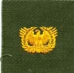 National Guard Badge, cloth, Olive Drab