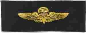 Navy Para Wing in Bullion - Saunders Military Insignia