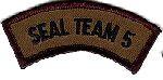 Navy Seal Team 5 Patch In Green Subdued