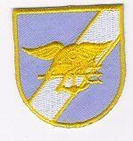 Navy Seal Team 6 Flash - Saunders Military Insignia