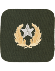 OPFOR Hamby Second Class rank insignia with Silver Star - Saunders Military Insignia