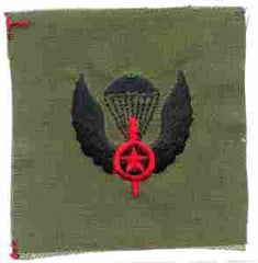 OPFOR Parachutist Wing in olive drab subdued, Opposing Force Wing - Saunders Military Insignia
