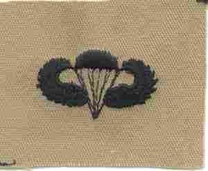 Para Basic Wing desert -1st design Patch, Desert Subdued - Saunders Military Insignia