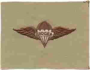 Para Rigger (Airborne) Patch, Desert Subdued - Saunders Military Insignia
