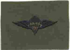 Para Rigger Badge, cloth, Subdued - Saunders Military Insignia