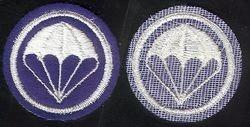 Parachute Infantry patch on Felt