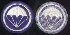 Parachute Infantry patch on Felt - Saunders Military Insignia